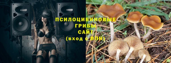 каннабис Алексеевка