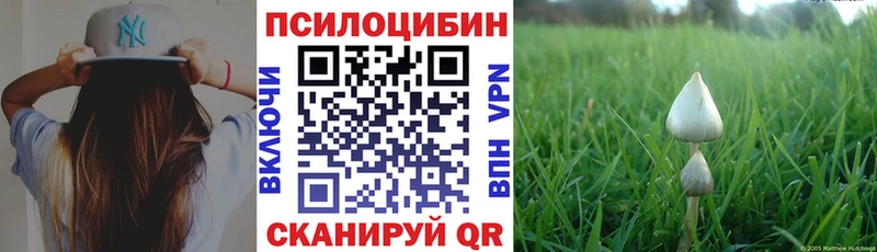Галлюциногенные грибы Psilocybe  купить наркотики цена  Навашино 